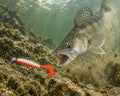 Boroda Baits Phantom 110 mm 205i — sandacz atakujący przynętę przy dnie, wizualizacja AI