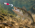 Boroda Baits Phantom 110 mm 205UV — sandacz atakujący przynętę przy dnie, wizualizacja AI