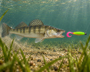 Twister Phantom 11 cm killer na Sandacze  #227i