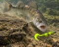 Boroda Baits Phantom 110 mm 243i — sandacz atakujący przynętę przy dnie, wizualizacja AI