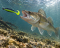Boroda Baits Phantom 110 mm 302 — sandacz atakujący przynętę przy dnie, wizualizacja AI