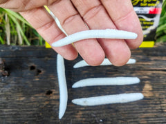 Verme Piatto 6,5 cm — BIANCO — #VPB1 — Righetti Bait System