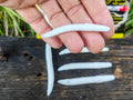 Verme Piatto 6,5 cm Righetti Bait System, kolor BIANCO — #VPB1, zdjęcie 2