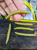Verme Piatto 6,5 cm Righetti Bait System, kolor VERDE OLIVA — #VPVO, zdjęcie 1