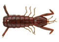 e77af8c7ce79e536ea853a93410b4ea4
