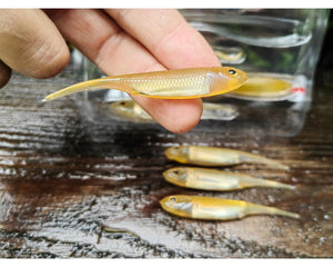 Fish Arrow Flash-J 2″ — Champagne Bait/Silver #46