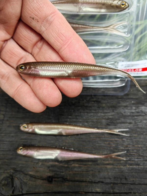 Fish Arrow Flash-J Split 4″ — 07 Wakasagi/Silver — zdjęcie Rybomania