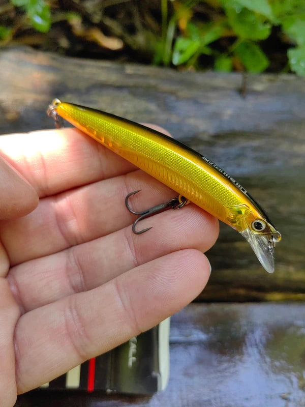 Jackall Lill Bill Wild 75F — BGMG Meimetsu Gold & Black Magic — zdjęcie Rybomania