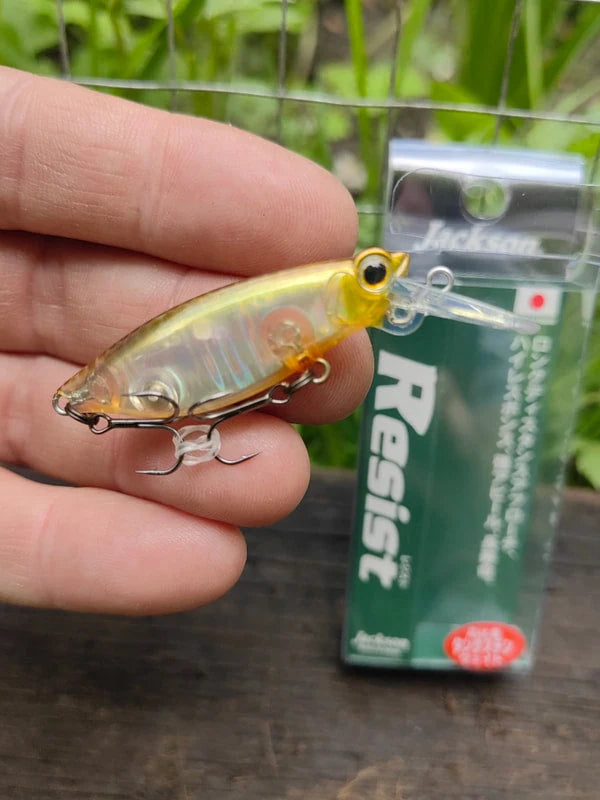 Jackson Resist 45 — GDM Golden Moroko — zdjęcie Rybomania