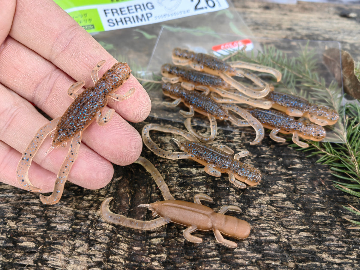 Free Rig Shrimp 2.6 Moebi (two-tone) #08 — zdjęcie Rybomania