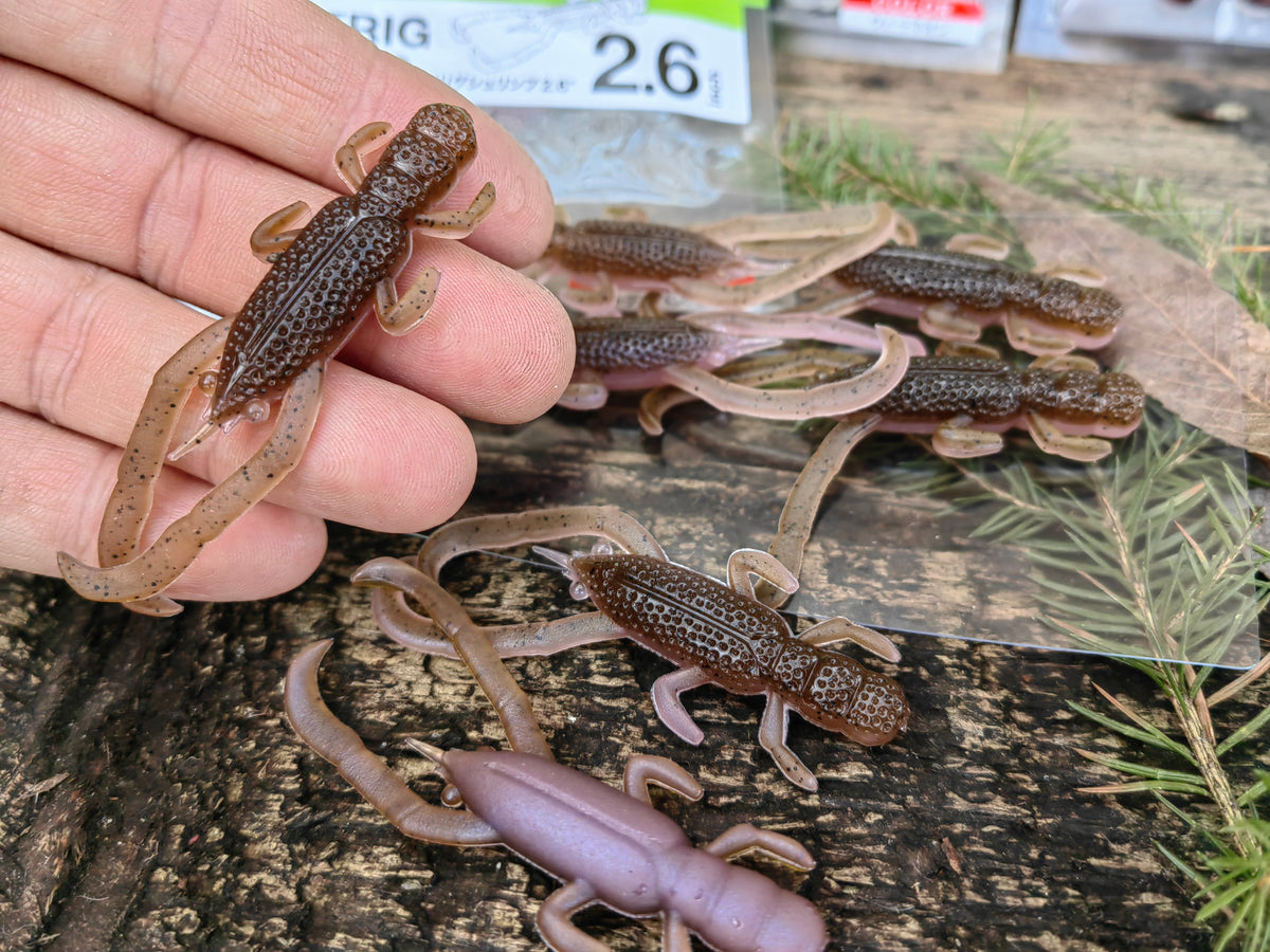 Free Rig Shrimp 2.6 Light Green Pumpkin Pink (two-tone) #09 — zdjęcie Rybomania