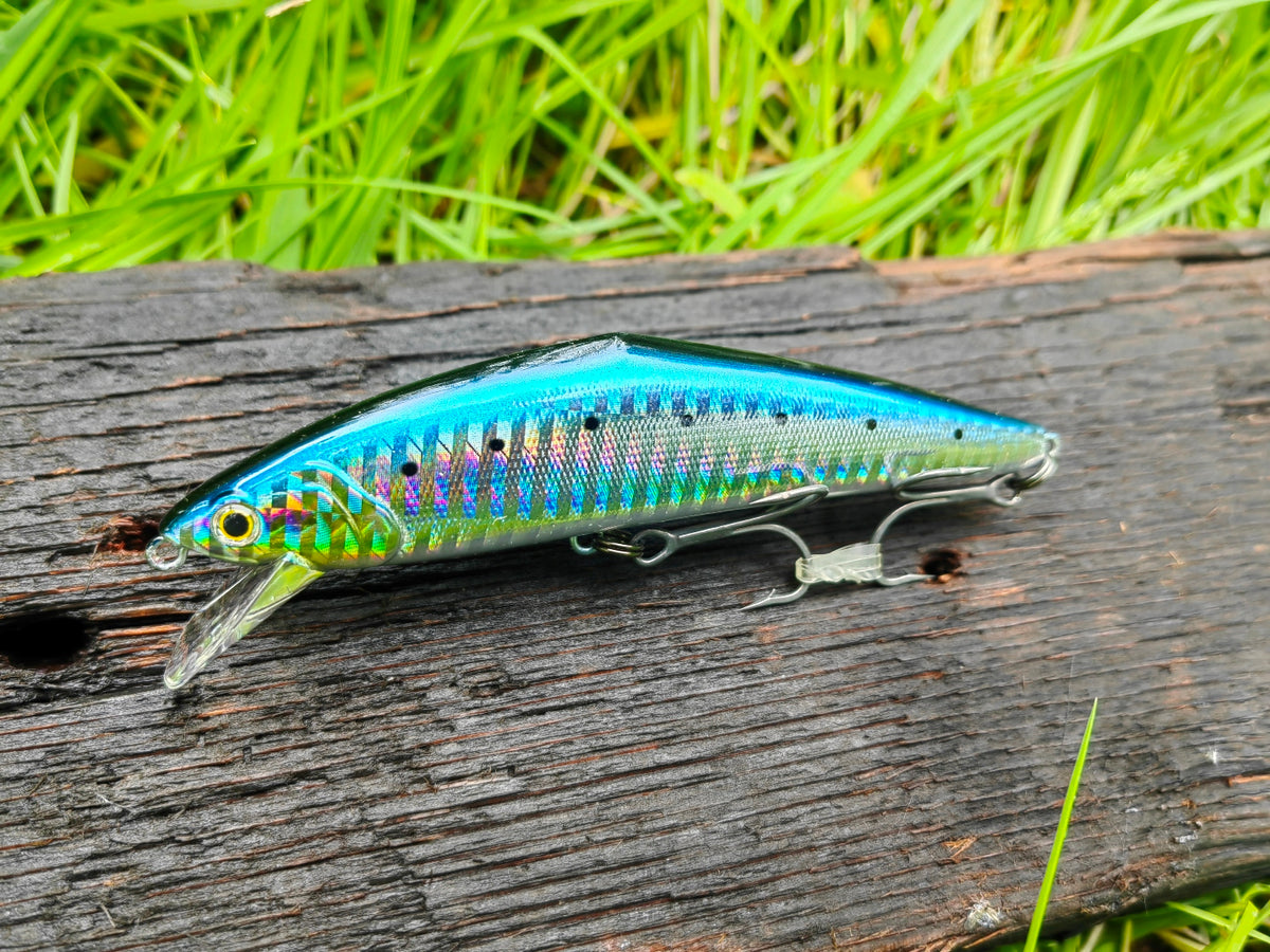 D-Contact 110 48 Sardine — zdjęcie Rybomania
