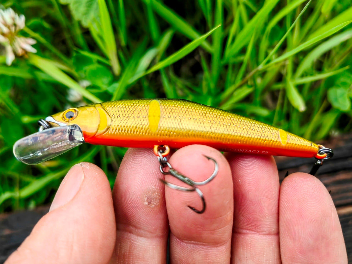 D-Contact 72 24 G sweetfish — zdjęcie Rybomania