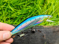 D-Contact 110 48 Sardine — zdjęcie Rybomania