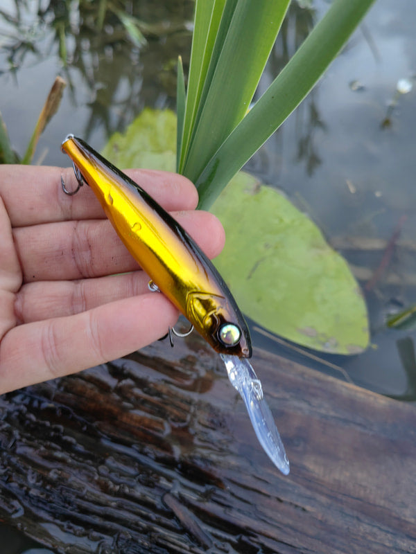 ABYSS 90 Black Gold Holo #236H — zdjęcie Rybomania