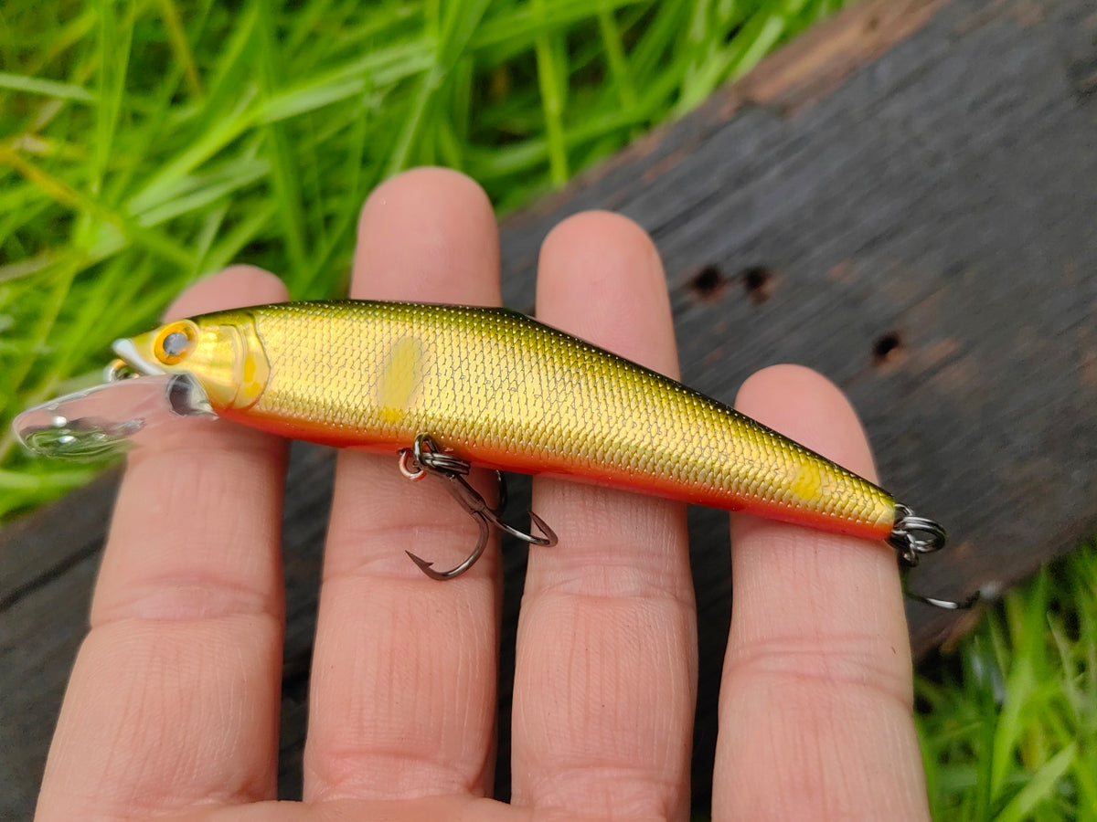 D-Contact 85 24 G sweetfish — zdjęcie Rybomania