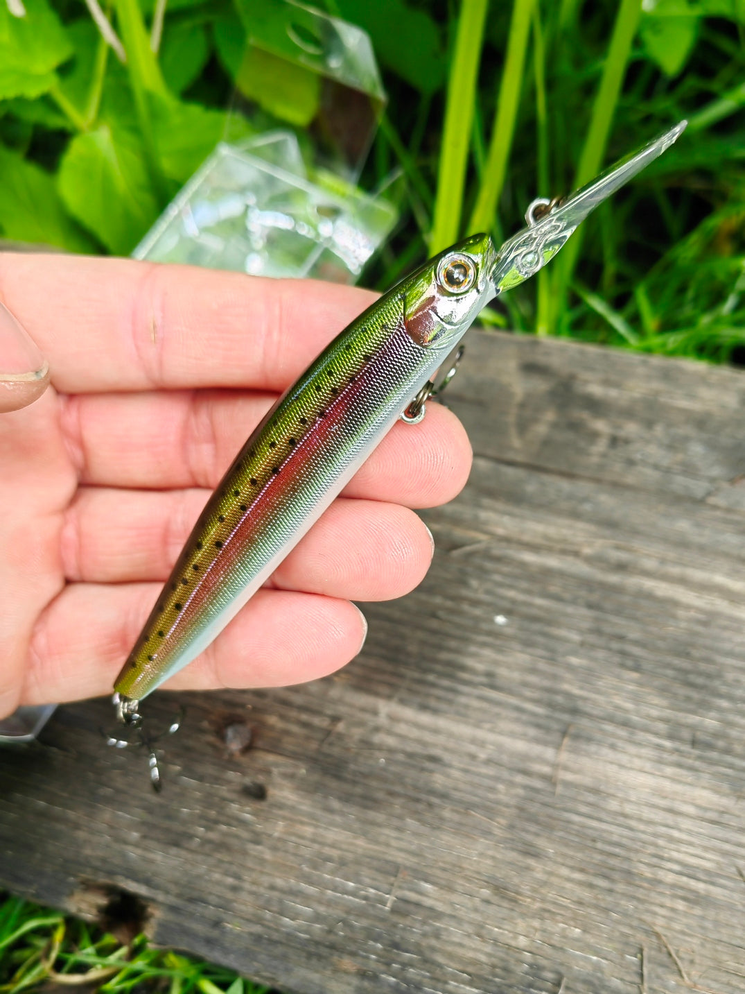 Cherry Blood Deep90 07 Rainbow trout — zdjęcie Rybomania