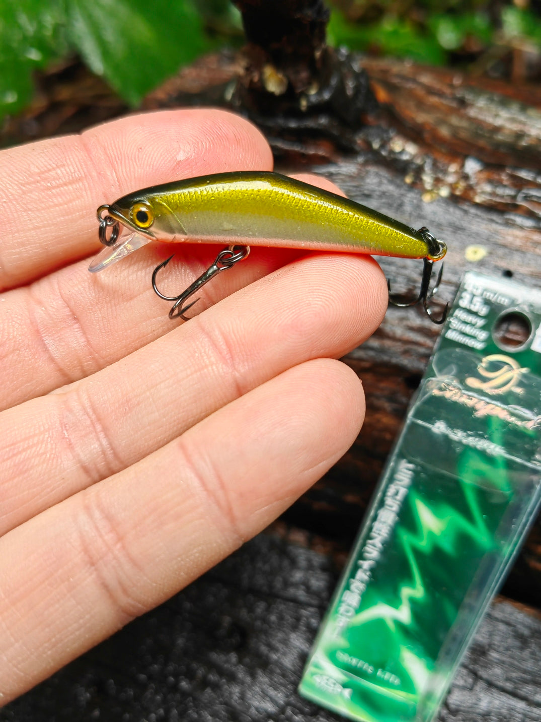 D-Compact 45 05 TS foil — zdjęcie Rybomania