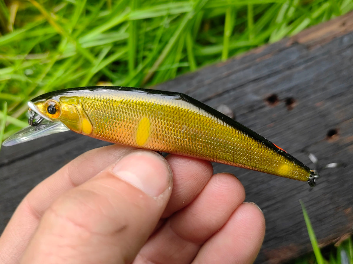 D-Contact 85 24 G sweetfish — zdjęcie Rybomania