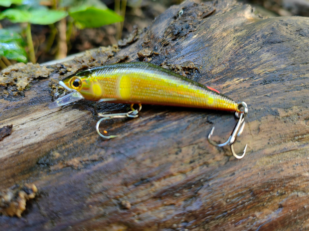 D-Contact 50 24 G sweetfish — zdjęcie Rybomania