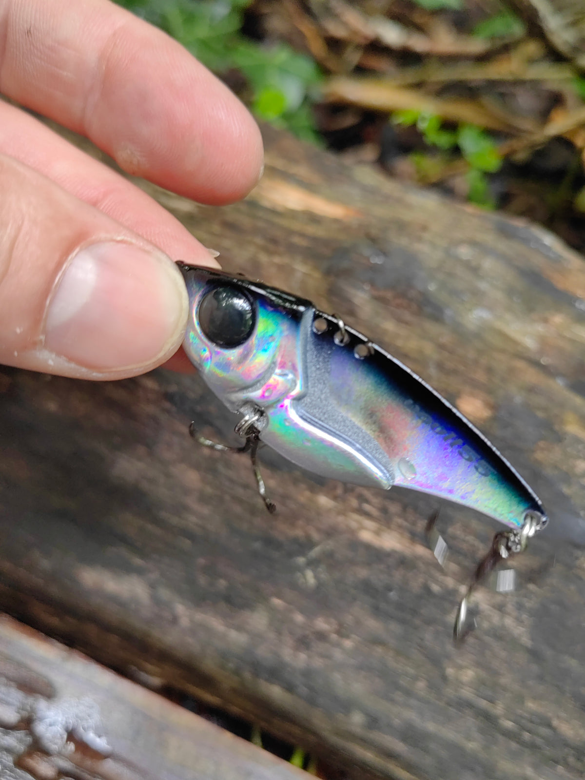 VAULT-55 BLACK HOLO 012H — zdjęcie Rybomania
