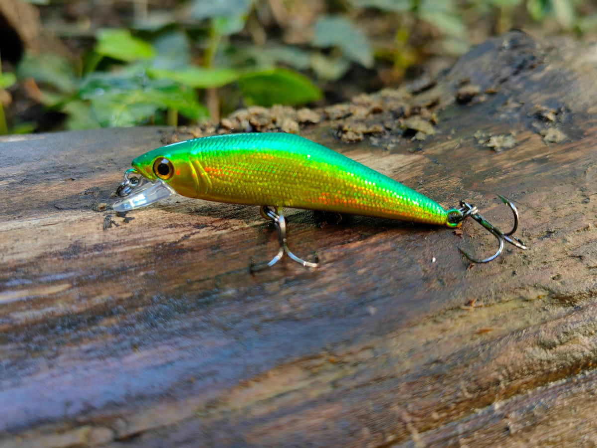 D-Contact 50 43 Green Gold — zdjęcie Rybomania