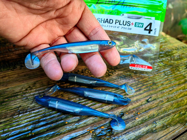 Flash-J Shad 4" PLUS SW Maiwashi / Silver #105