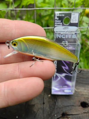 D-Incite 53 07 TS Laser