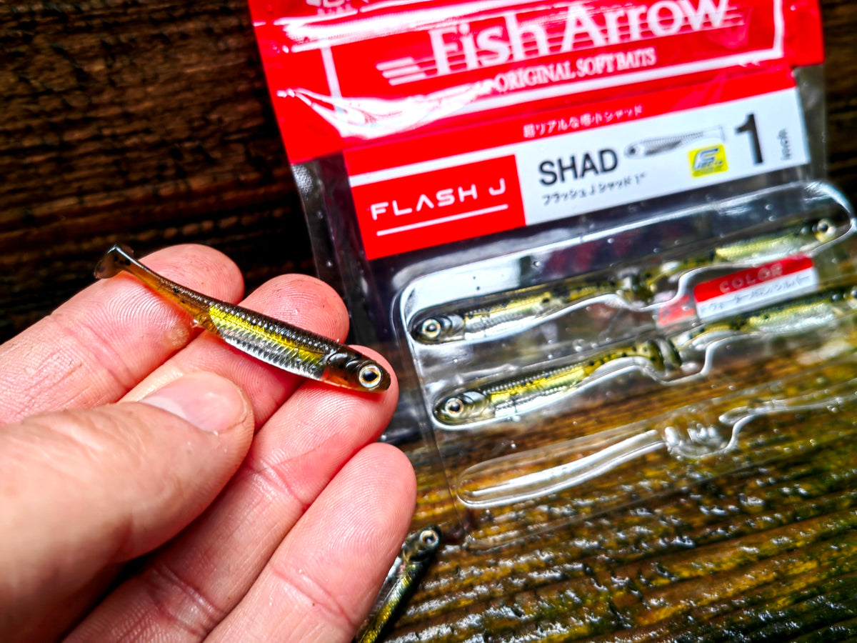 Flash-J Shad 1" WATER MELON/SILVER #02 — zdjęcie Rybomania