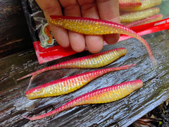 ARMOR SHAD RED GOLD 2 #481