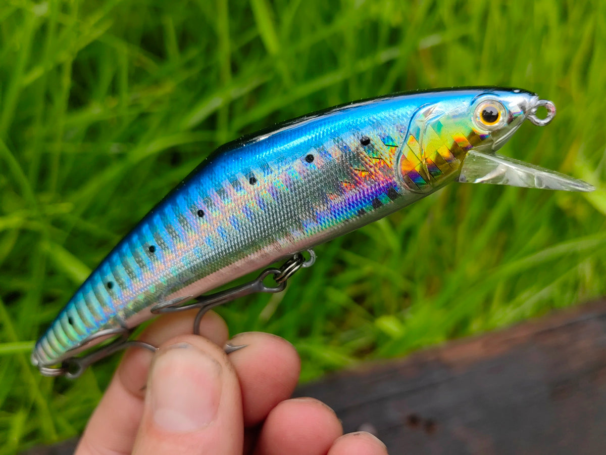 D-Contact 110 48 Sardine — zdjęcie Rybomania