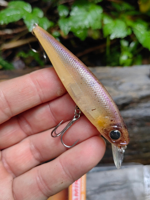 Damiki Striker 90 SP — Goby Shad 386T — zdjęcie Rybomania