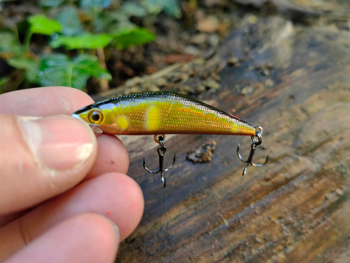 D-Contact 50 24 G sweetfish — zdjęcie Rybomania