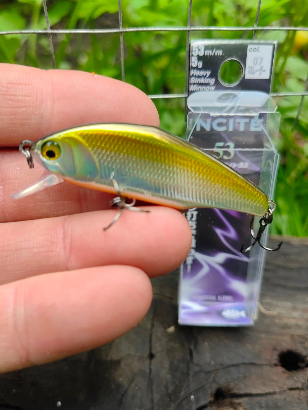 D-Incite 53 07 TS Laser — zdjęcie Rybomania