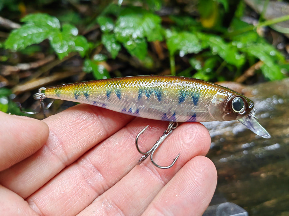 Damiki Striker 90 SP — Male Killifish 232H — zdjęcie Rybomania