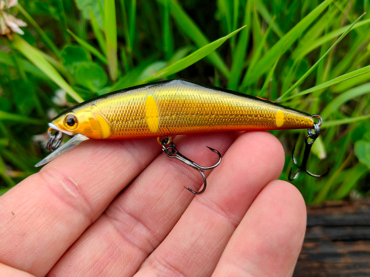 D-Contact 72 24 G sweetfish — zdjęcie Rybomania