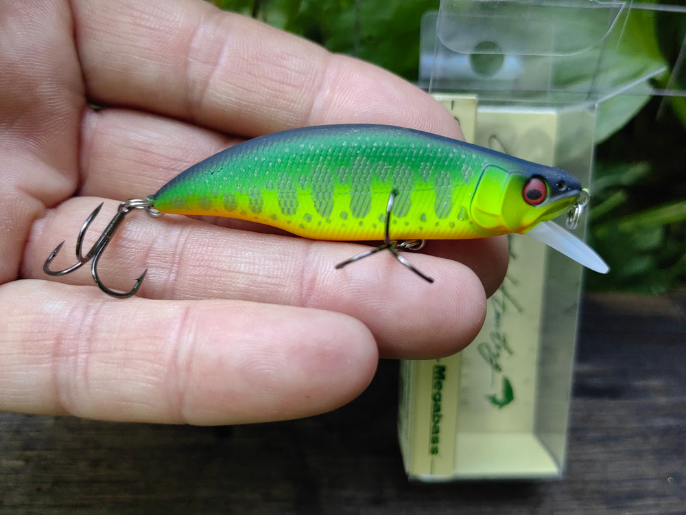 Megabass GH64 Humpback — MT Mat Tiger #18 — zdjęcie Rybomania