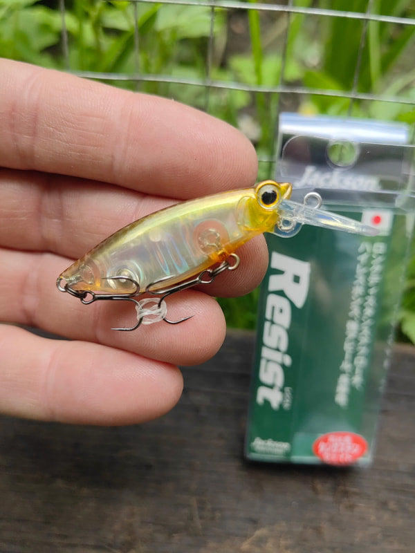 Jackson Resist 45 — GDM Golden Moroko — zdjęcie Rybomania