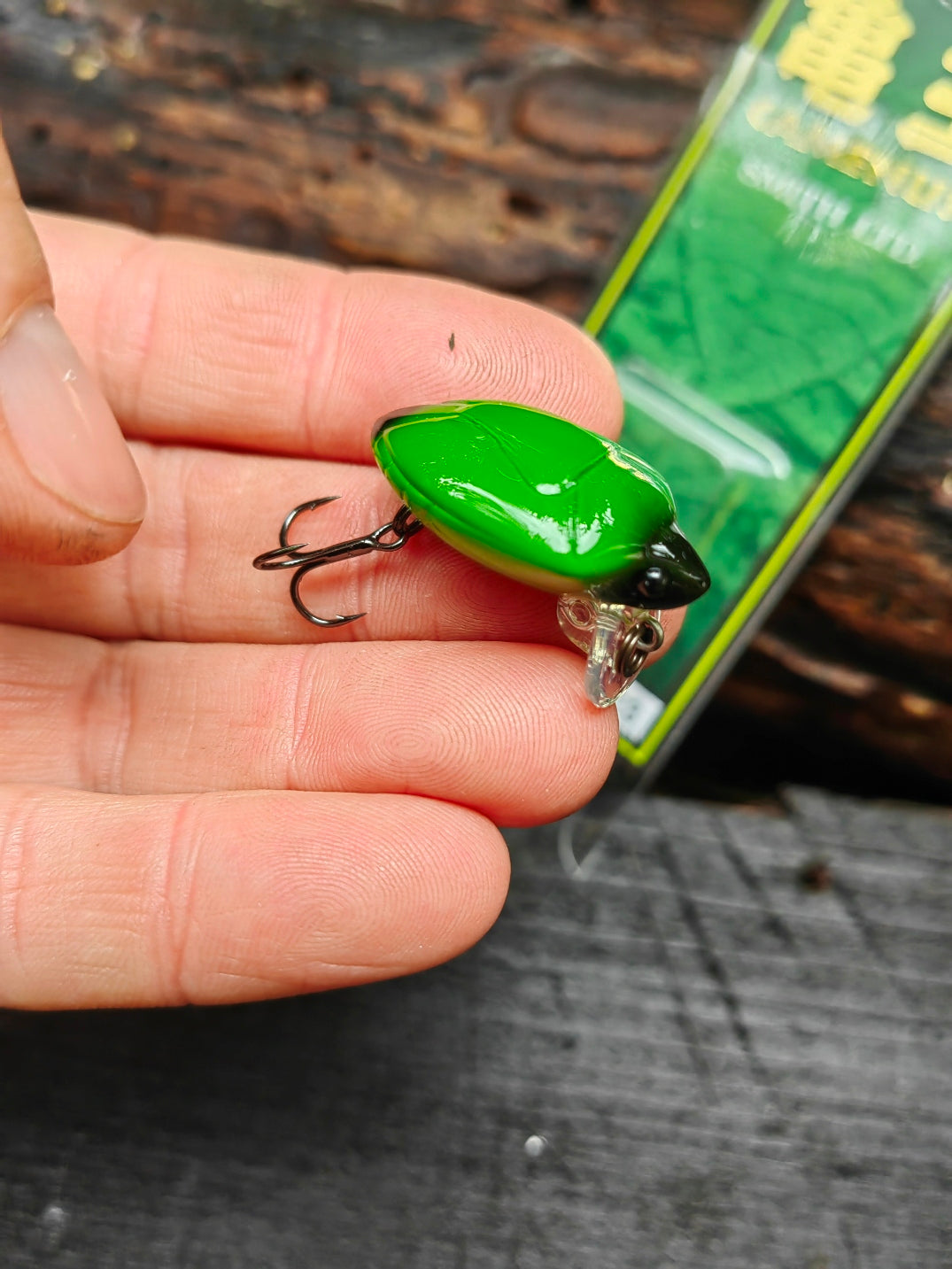 Smith Camenusi 23 Ezo stink bug — zdjęcie 3