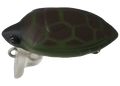 Smith Camenusi 24 Turtle — zdjęcie producenta