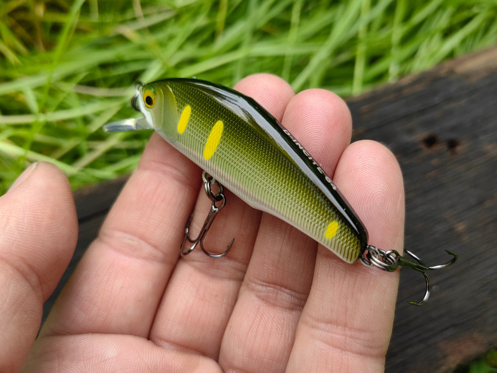 Smith D-Incite 64 — 08 Sweetfish Foil, własne zdjęcie szczegółu 2