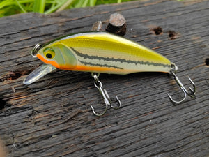 Smith D-Incite 64 mm 7,6 g — 12 Dace