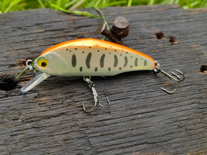 14 Orange Laser Yamame