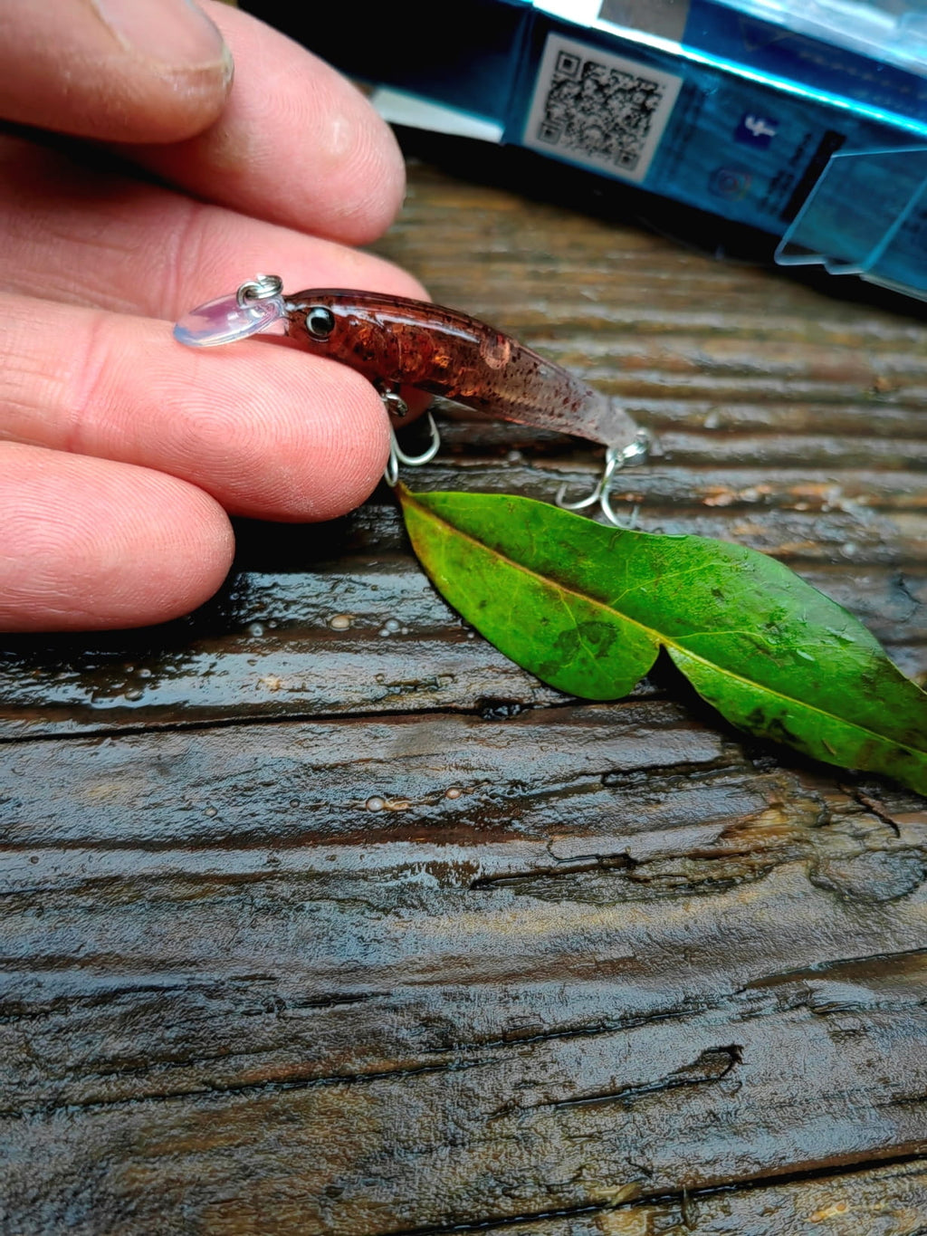 IMG_20231215_152907.jpg