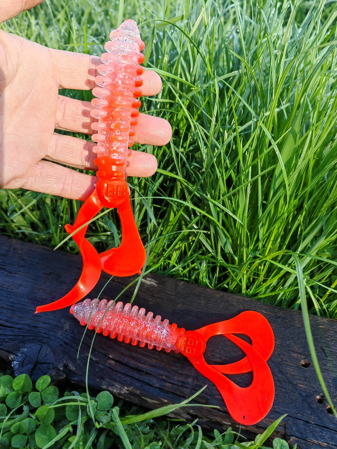 IMG_20250501_081755.jpg