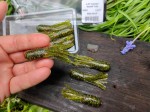 8 szt. Robak Tuba SCENTED STEALTH - 6 cm  #  Killer Perch