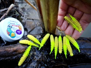 12 szt. AYRA Tanta Larwa 45mm /pstrąg-okoń/ser/