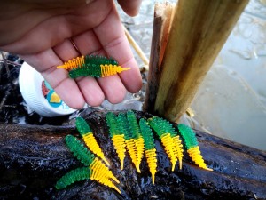 12 szt. AYRA - twister 45 mm /pstrąg-okoń / Boroda