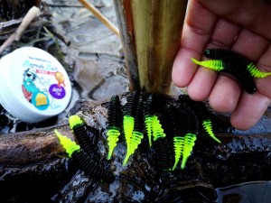 12 szt. AYRA - Larwa 45 mm /pstrąg-okoń / Boroda