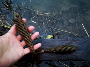 Kopyto Twister Shemaya TT 22 cm 26 gr. #134